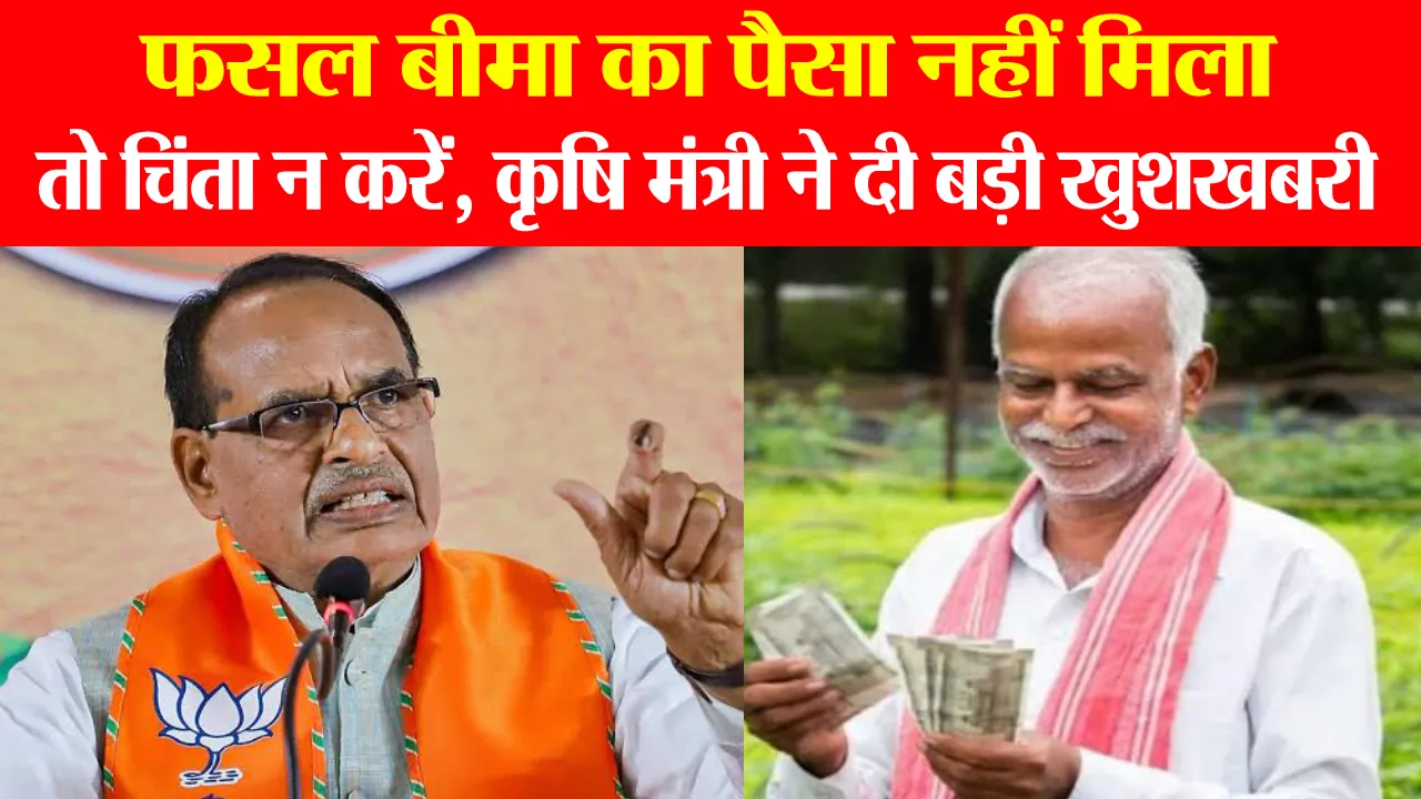 PM Fasal Bima Yojana: Paise Nahi Mile